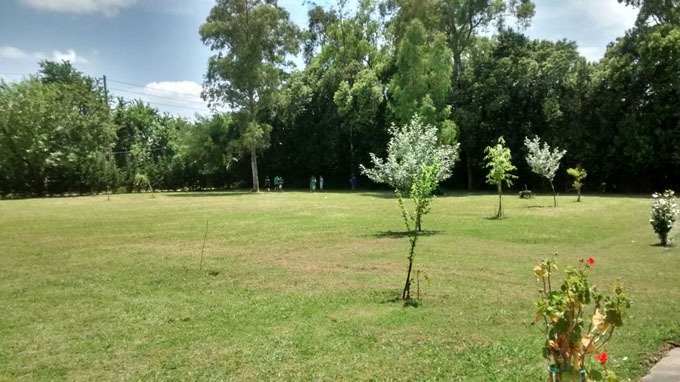 Campamentos y Colonias